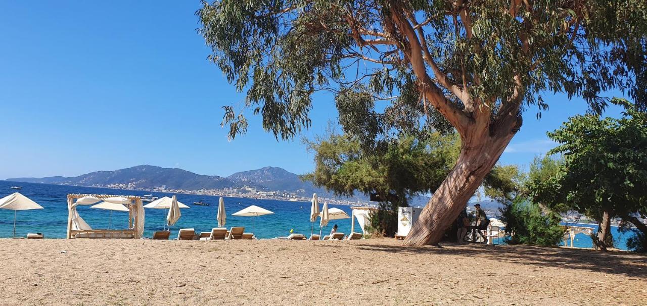 La Vague Bleue Daire Porticcio  Dış mekan fotoğraf